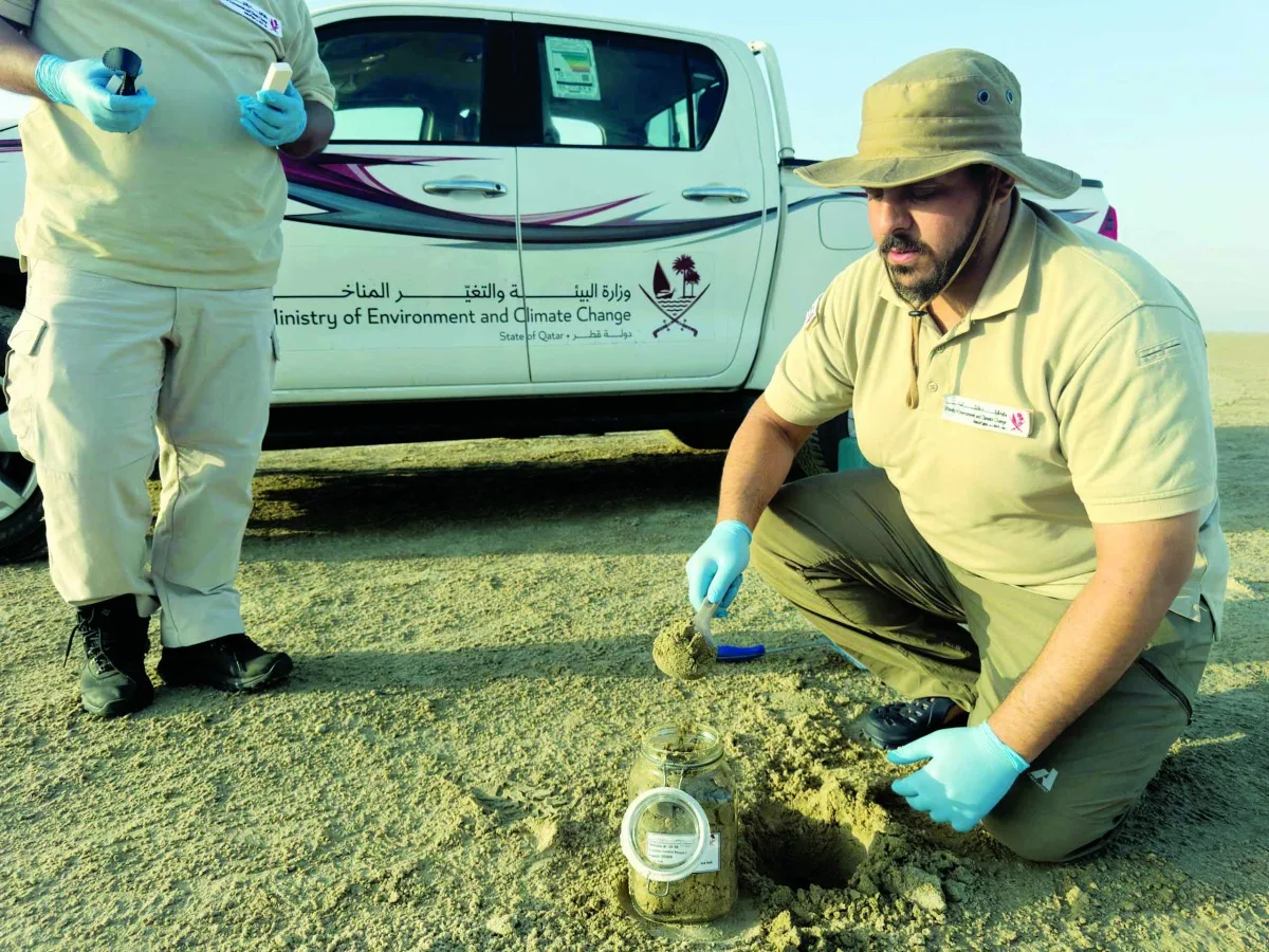 دراسة شاملة للبيئة في محمية خور العديد دراسة شاملة للبيئة في محمية خور العديد
