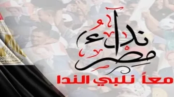 دعوى قانونية بشأن انتحاله لصفة رئيس حزب نداء مصر