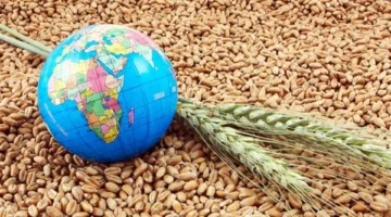 دور الزراعة في توفير السلع بأسعار مخفضة.. استراتيجية لتحقيق الأمن الغذائي