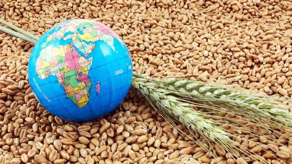 دور الزراعة في توفير السلع بأسعار مخفضة.. استراتيجية لتحقيق الأمن الغذائي