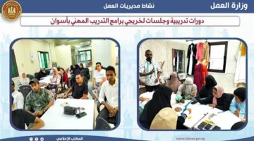 دورات وورش عمل لخريجي البرامج المهنية في أسوان