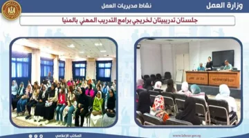دورتان تدريبيتان لخريجي البرامج المهنية في المنيا