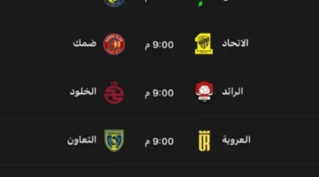 دوري روشن: غدًا (9) مباريات في الجولة النهائية