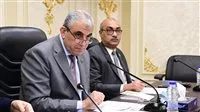 «ذوي الاحتياجات الخاصة والأطفال»: نائب يكشف معلومات جديدة حول قانون العمل الجديد