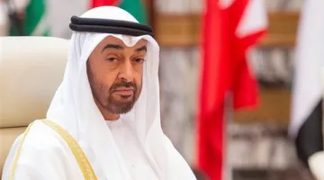 رئيس الإمارات: عقدت مناقشات مثمرة مع ترامب