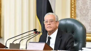 رئيس البرلمان يسلط الضوء على الميزات الفريدة للعلاقات بين مصر والصين