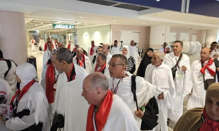رئيس الغرف السياحية: رصد مستمر لرحلات نقل الحجاج السياحيين رئيس الغرف السياحية: رصد مستمر لرحلات نقل الحجاج السياحيين