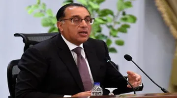 رئيس الوزراء: أهمية تعزيز كفاءة الشركات القابضة في قطاع الأعمال العام
