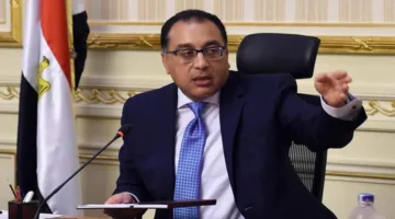 رئيس الوزراء: الحكومة تواصل التعاون مع الشركاء لاستغلال الفرص الواعدة في قطاع الطاقة بمصر