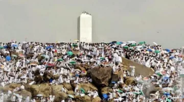 رئيس بعثة الحج: نقدم خدماتنا لضمان راحة حجاج القرعة على مدار الساعة