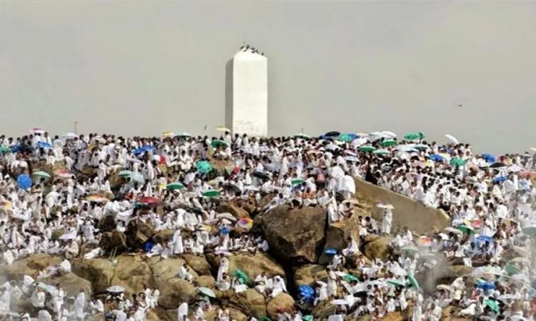 رئيس بعثة الحج: نقدم خدماتنا لضمان راحة حجاج القرعة على مدار الساعة رئيس بعثة الحج: نقدم خدماتنا لضمان راحة حجاج القرعة على مدار الساعة