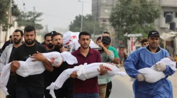 رئيس تشيلي: إسرائيل تنفذ التطهير العرقي في غزة.