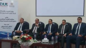 رئيس شباب المصريين في الخارج: الحكومة حققت نجاحاً في التصدي للهجرة غير الشرعية