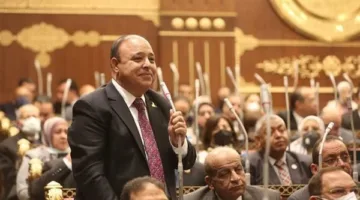 رئيس لجنة الصحة بالشيوخ: «خالد عبد الغفار شايل المنظومة الصحية على كتافه»