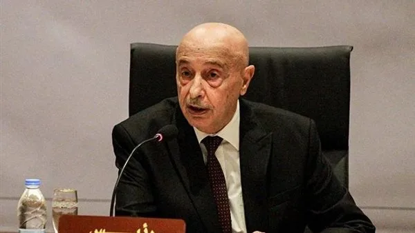 رئيس مجلس النواب في ليبيا: الحكومة الحالية لم تحقق النجاح المطلوب. رئيس مجلس النواب في ليبيا: الحكومة الحالية لم تحقق النجاح المطلوب.