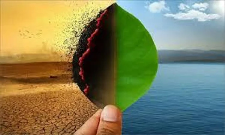 رئيس مركز معلومات المناخ: التغيرات المناخية أصبحت غير نمطية وعلينا التكيف معها رئيس مركز معلومات المناخ: التغيرات المناخية أصبحت غير نمطية وعلينا التكيف معها