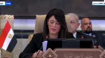 رانيا المشاط: التعاون العربي بات ضرورة ملحة