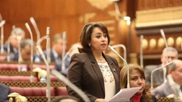 رشا إسحق: تعديلات قانون الإيجار القديم تحتاج لمعالجة متوازنة