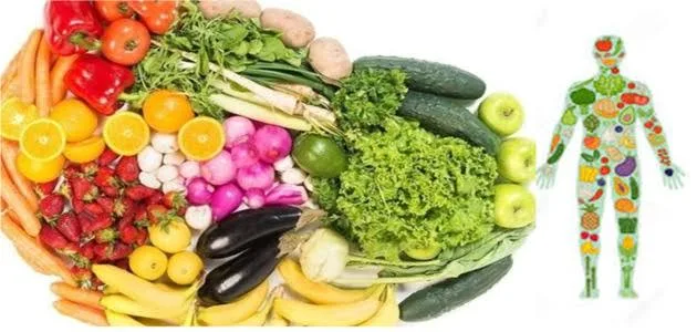 ركيزة الصحة في وجبتك اليومية: التغذية المتوازنة مفتاح لحياة أفضل