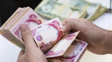 رواتب المعلمين في 2025: كل ما تحتاج معرفته عن الزيادة السنوية واللوائح التعليمية الجديدة