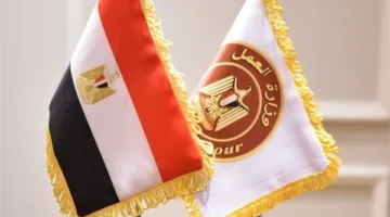 رواتب تصل إلى 6500 ريال شهرياً.. وزارة العمل تُعلن عن فرص عمل في شركة مقاولات بالسعودية