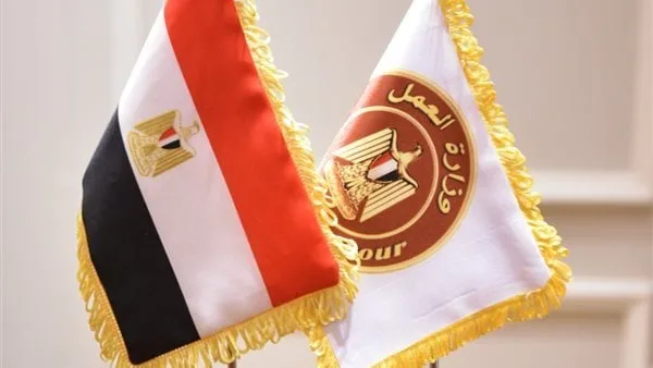رواتب تصل إلى 6500 ريال شهرياً.. وزارة العمل تُعلن عن فرص عمل في شركة مقاولات بالسعودية