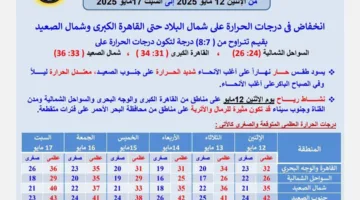 رياح قوية محملة بالرمال والأتربة.. الأرصاد تنبه من حالة الطقس يوم الاثنين