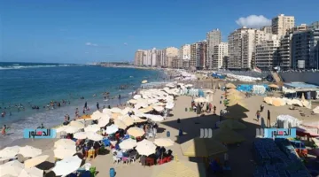 رياح قوية وأتربة وانخفاض ملحوظ في درجات الحرارة بمدينة الإسكندرية