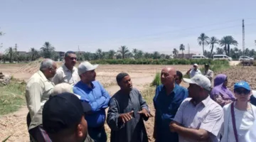 «زراعة أسيوط» تستعرض تجاربها في التقنيات الزراعية الحديثة خلال ورشة عمل برنامج الأغذية العالمي.