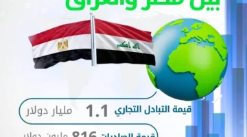 زيادة قدرها 18.3% في صادرات مصر إلى العراق خلال عام 2024