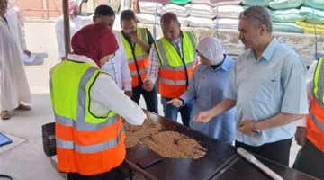 زيادة كميات القمح الموردة إلى 42 ألف طن في صوامع الإسكندرية