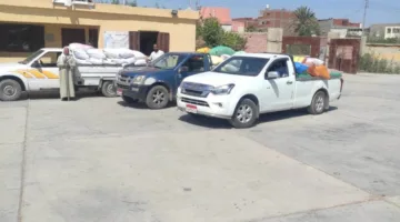 زيادة كميات توريد القمح في البحيرة إلى أكثر من 248 ألف طن