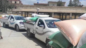 زيادة كميات توريد القمح في البحيرة لتتجاوز 162 ألف طن في الشون والصوامع