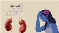 زيادة مستوى الكورتيزول: عندما يتحول التوتر إلى خطر غير مرئي