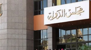 سابقة تاريخية.. اللجنة المختصة توصي بإتاحة إجراء «حقن مجهري» لزوجة السجين