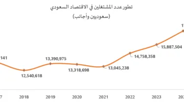 سجل إنجازاً جديداً .. الاقتصاد السعودي يفتح 1.8 مليون فرصة عمل جديدة في 2024