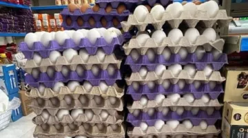 سعر carton البيض في مصر بتاريخ الأحد 25 مايو 2025
