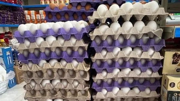 سعر carton البيض في مصر بتاريخ الأحد 25 مايو 2025 سعر carton البيض في مصر بتاريخ الأحد 25 مايو 2025
