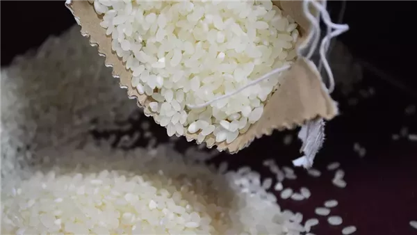 سعر طن الأرز الشعير في مصر اليوم الثلاثاء 27 مايو 2025 سعر طن الأرز الشعير في مصر اليوم الثلاثاء 27 مايو 2025