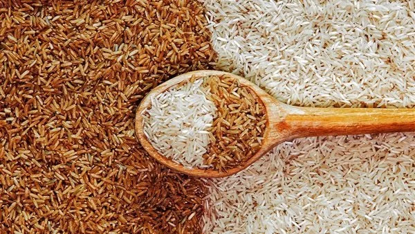 سعر الأرز الشعير في السوق اليوم الأربعاء 2025