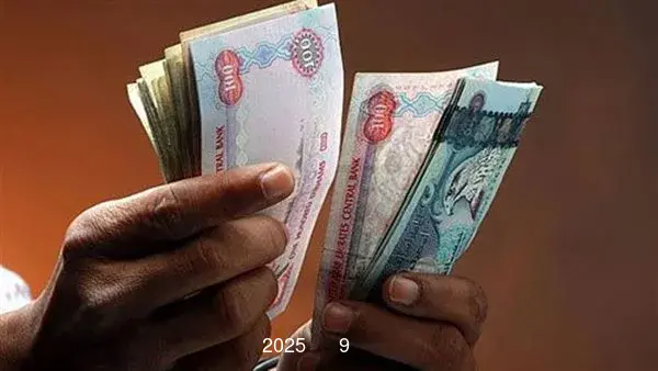 سعر الدرهم الإماراتي مقابل الجنيه المصري اليوم الجمعة 9 مايو 2025