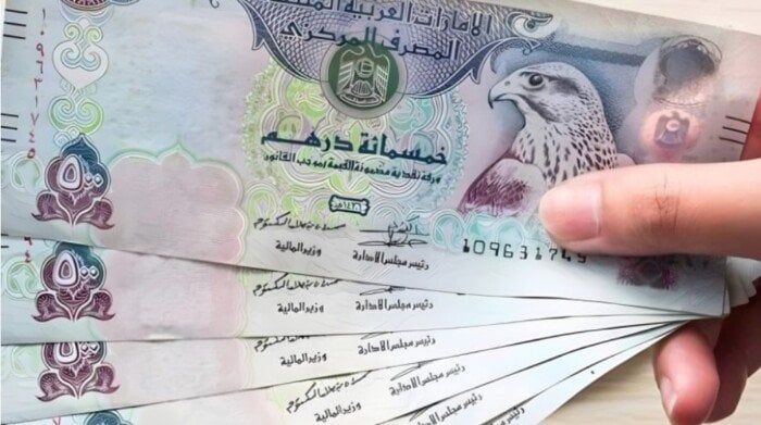 سعر الدرهم الإماراتي مقابل الجنيه المصري اليوم الخميس 1 مايو 2025