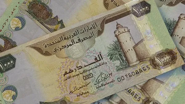 سعر الدرهم الإماراتي مقابل الجنيه المصري اليوم الخميس 8 مايو 2025