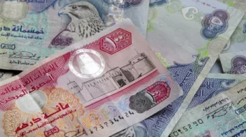 سعر الدرهم الإماراتي مقابل الجنيه المصري ليوم الجمعة 23 مايو 2025
