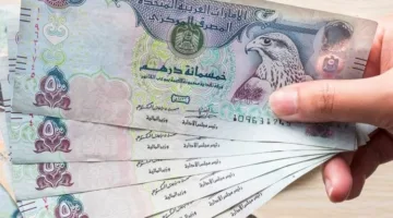 سعر الدرهم الإماراتي مقابل الجنيه المصري ليوم الخميس 22 مايو 2025
