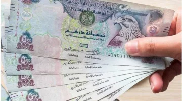 سعر الدرهم الإماراتي مقابل الجنيه اليوم الثلاثاء 27 مايو 2025