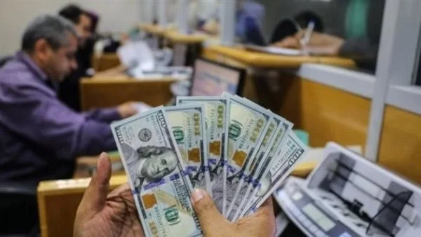 سعر الدولار أمام الجنيه المصري اليوم.. أسعار الصرف اليوم أخر تحديث