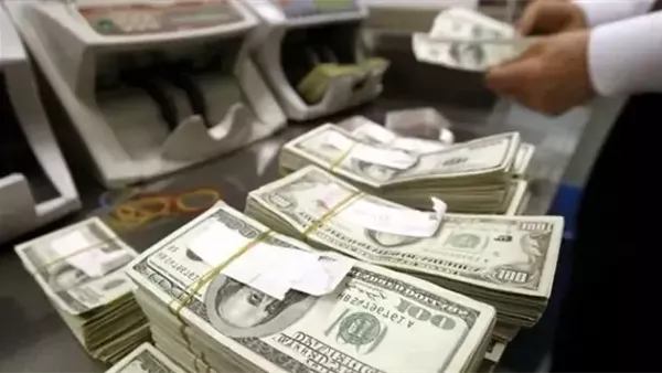 سعر الدولار اليوم الإثنين 5 مايو 2025 في السوق الرسمي
