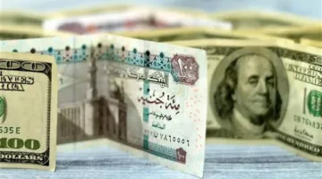 سعر الدولار في البنوك اليوم.. ومفاجأة في سوق الذهب.. واستقرار في أسعار الحديد والأسمنت
