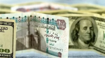 سعر الدولار مقابل الجنيه المصري في بنك مصر اليوم السبت 24 مايو 2025